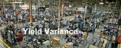 Why Yield Variance Matters