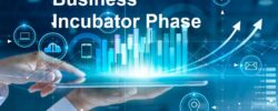 Business Incubator Phase